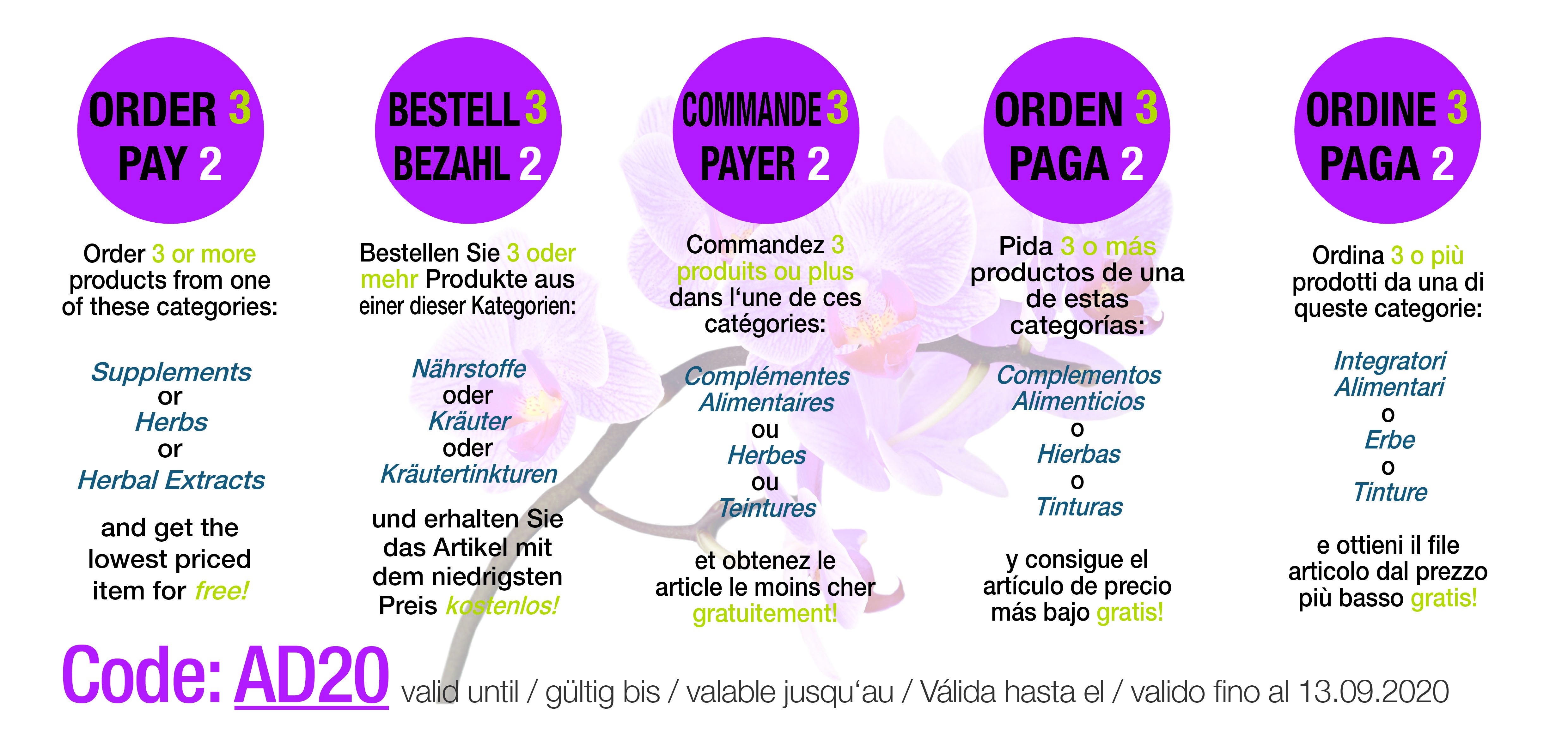 Odoo CMS - a big picture